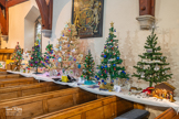 St.Denys Church - Festival of Christmas Trees 2024